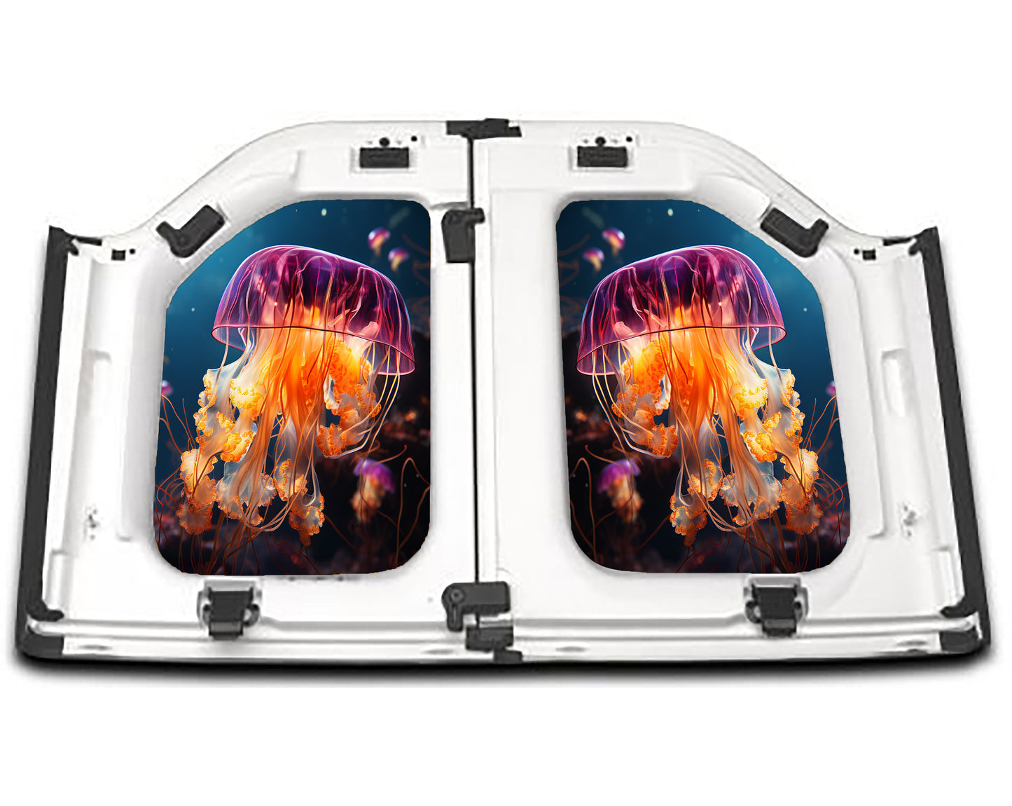 Jellyfish