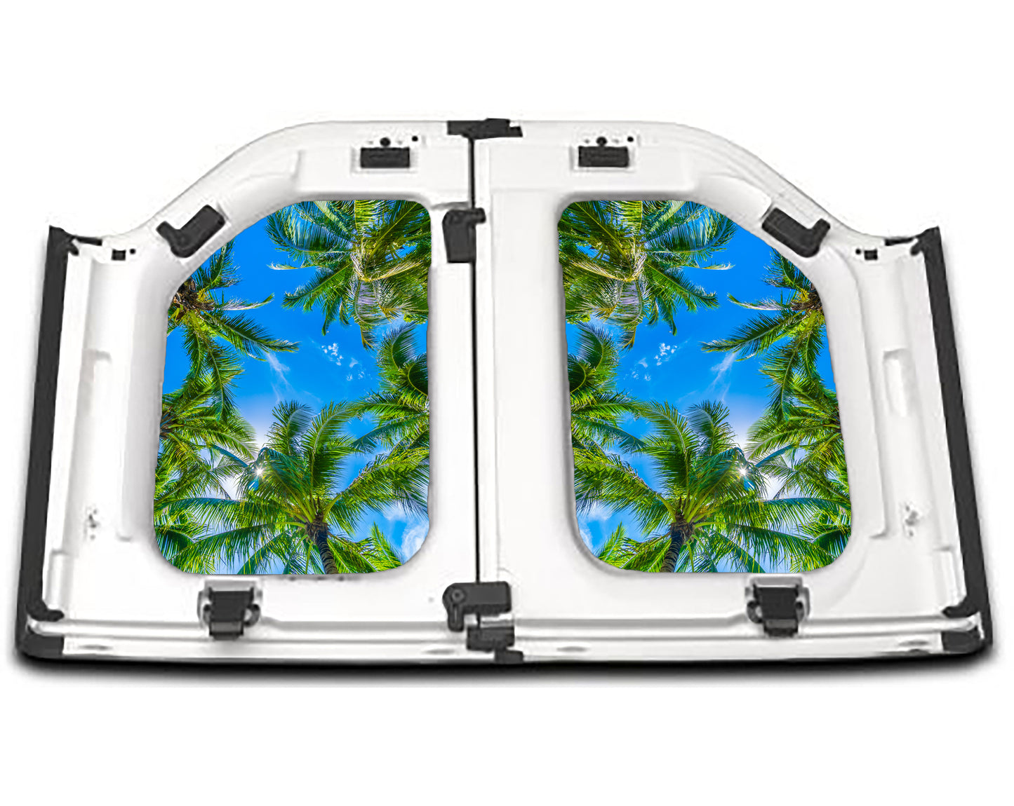 Palm Tree Tops
