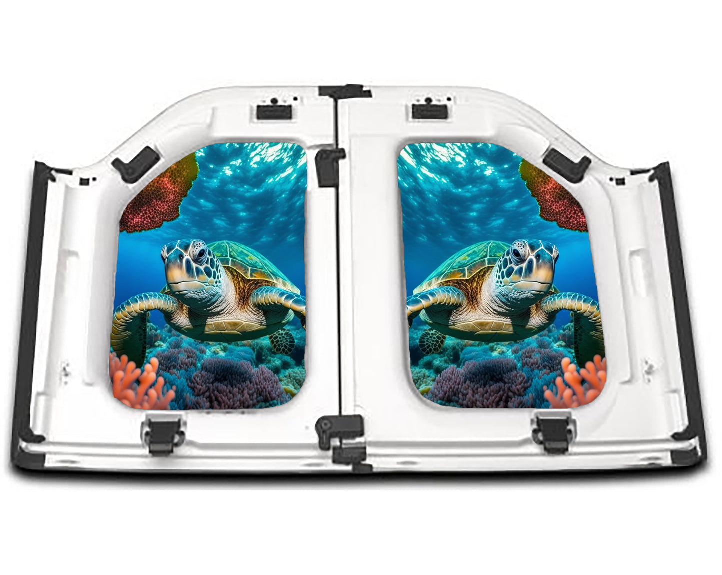 Sea Turtle