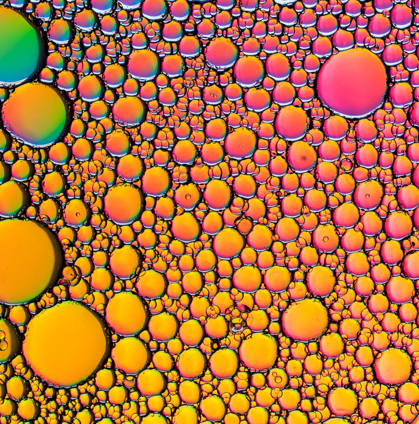Abstract Bubbles Red and Orange