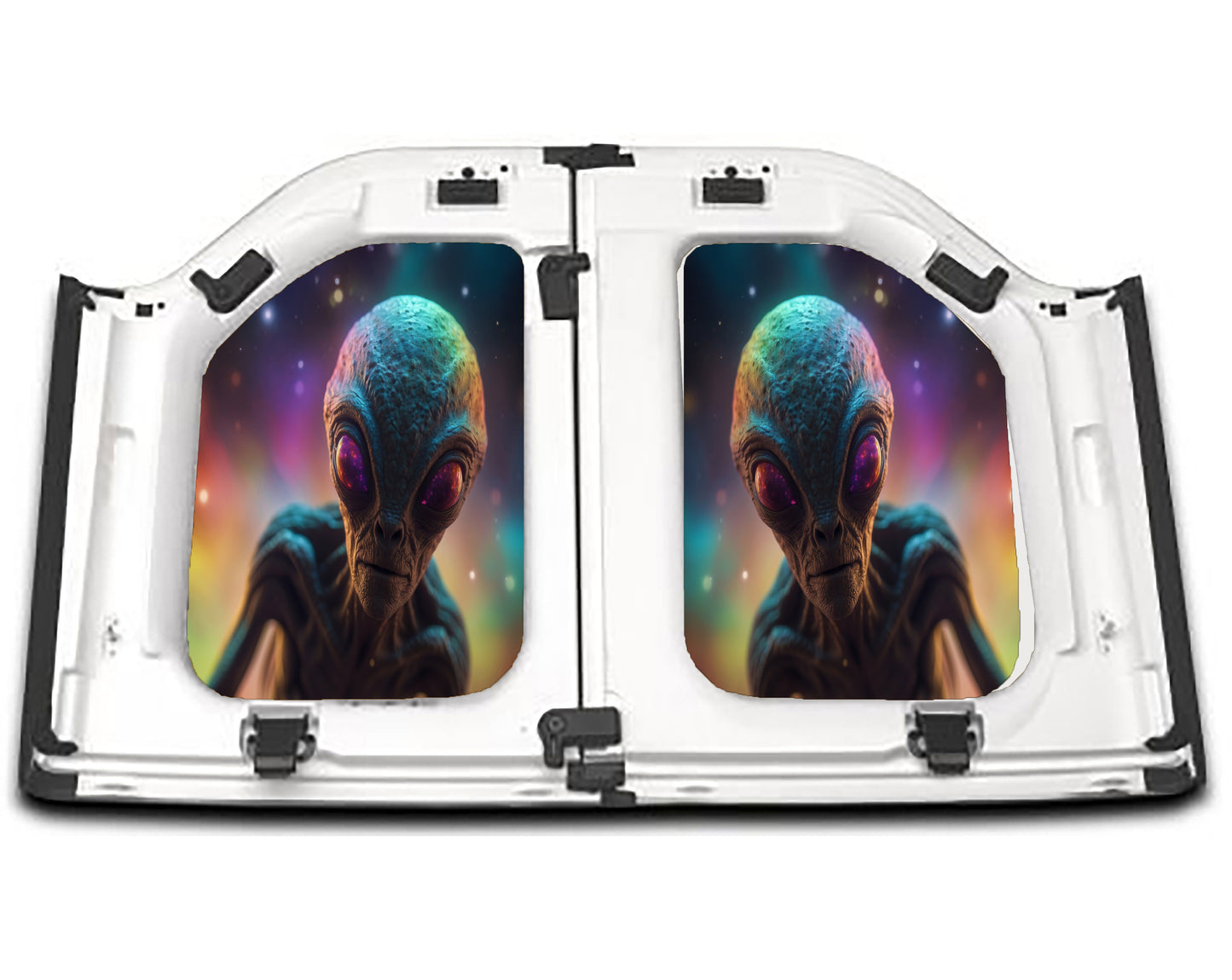 Cosmic Visitor