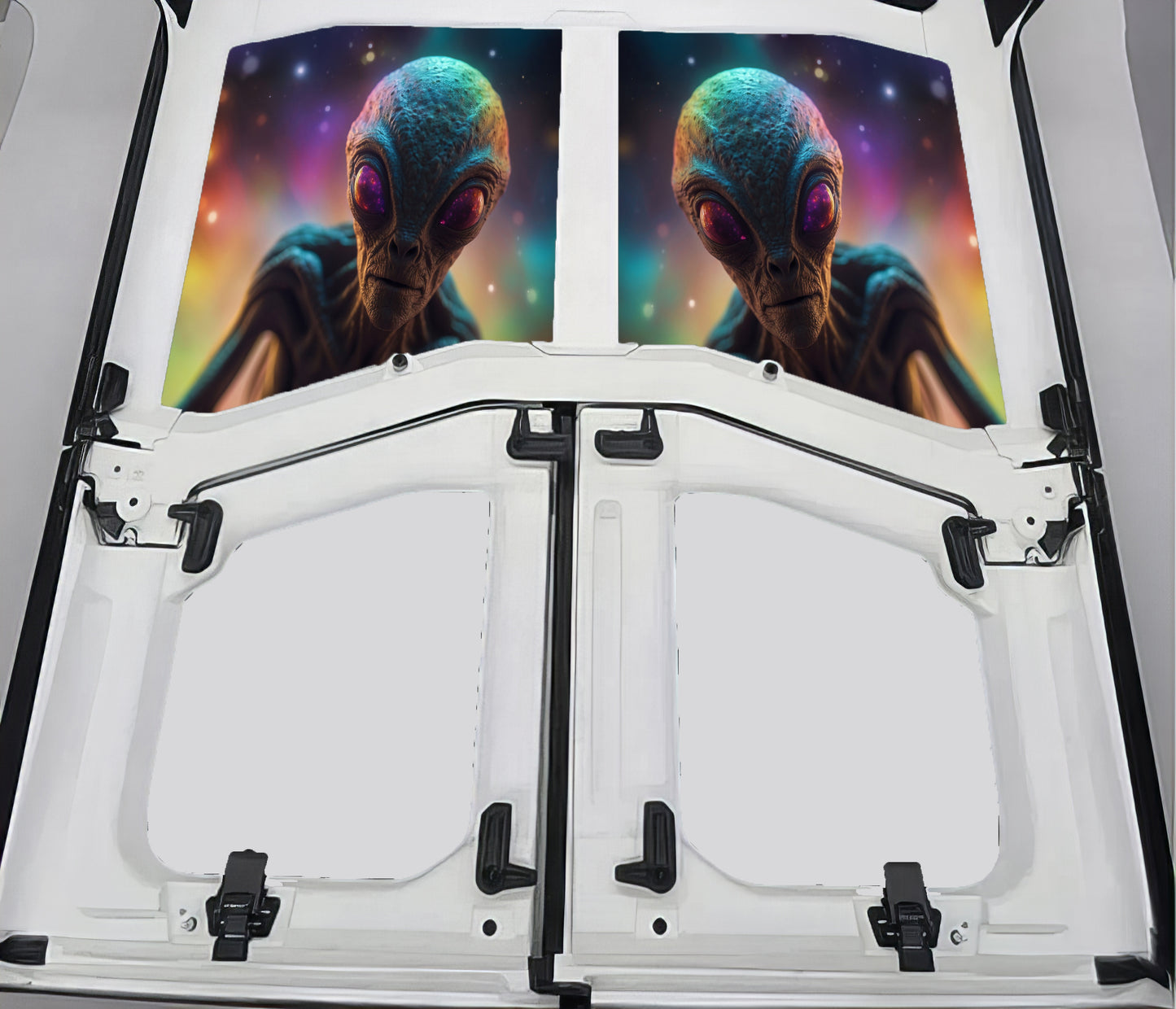 Cosmic Visitor