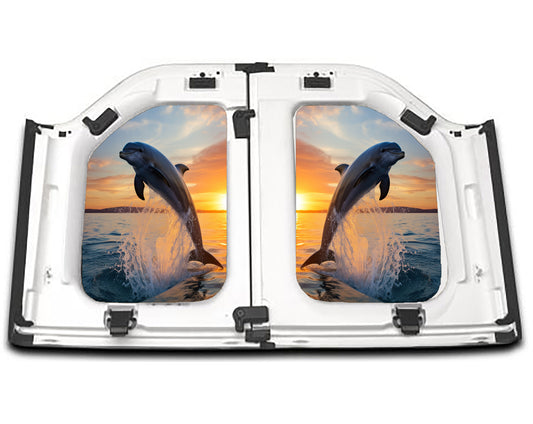 dolphin-sunset