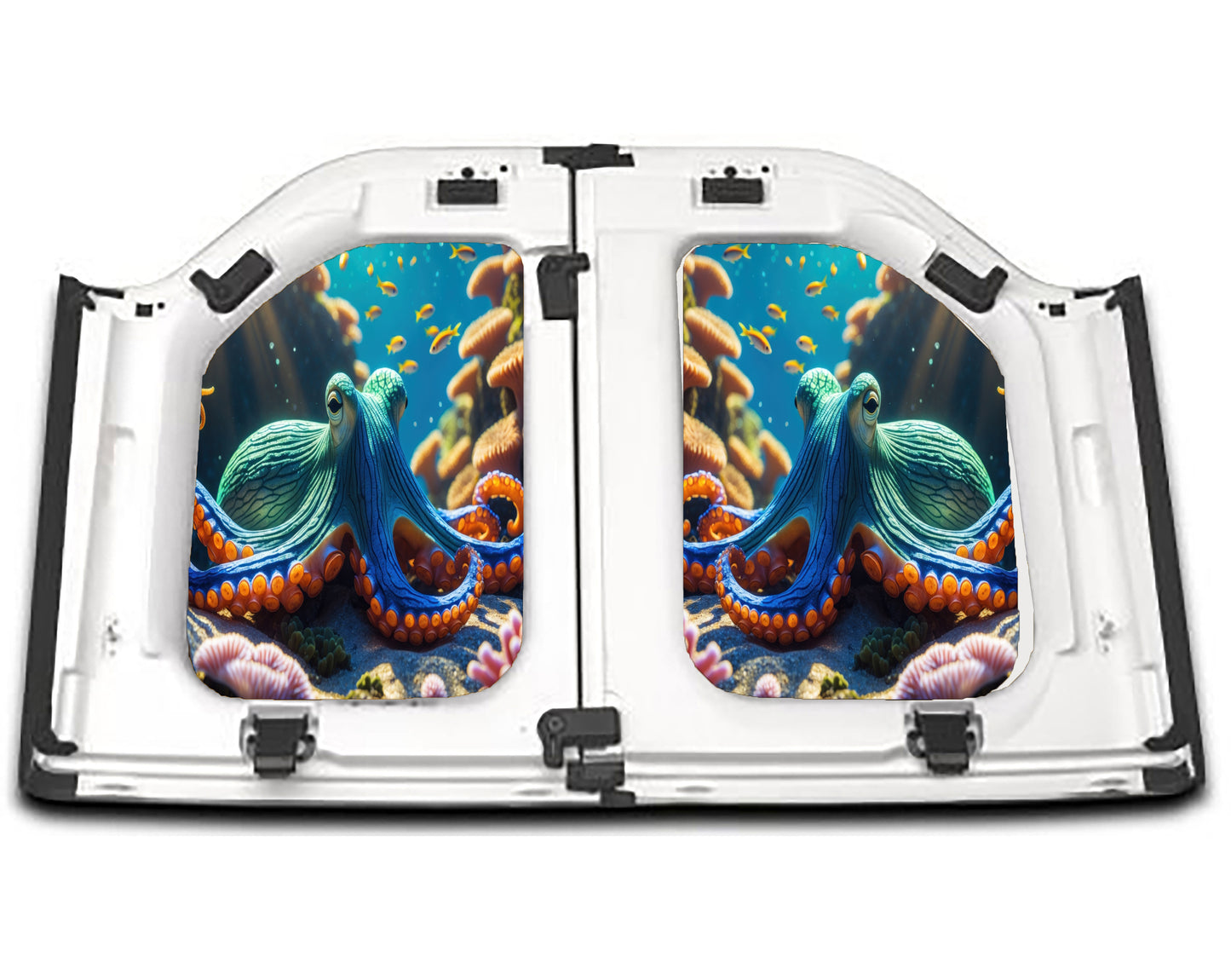 octopus-reef