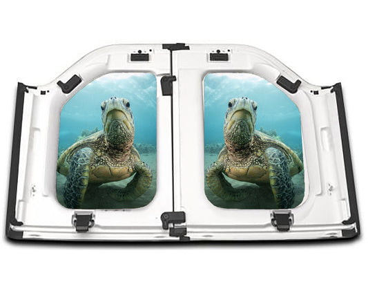 Sea Turtle Resting