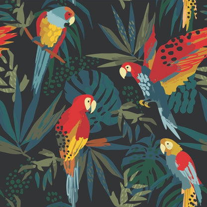 Parrot Paradise